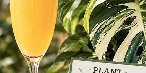 Plant Bingo Brunch!