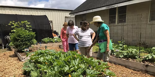 Summer Urban Demonstration Garden Open House