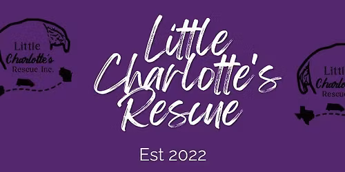 Little Charlotte's Craft\/Vendor Event 