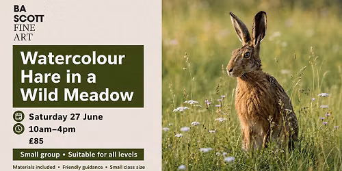 Watercolour workshop: Hare in meadow