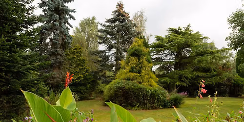 Birmingham Open Garden and Plant Sales