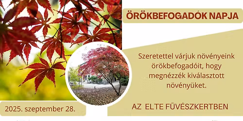 \u00d6r\u00f6kbefogad\u00f3k napja a F\u00fcv\u00e9szkertben