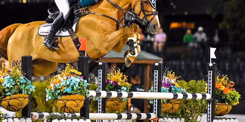 Wellington Winter Equestrian Festival