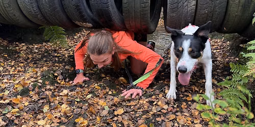 Tough Mutter Dog Obstacle Course Race.