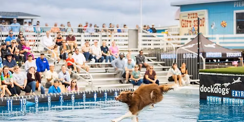 DockDogs\u00ae at the 52nd Annual Neptune Festival Boardwalk Weekend
