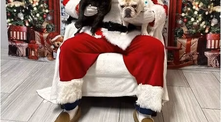 SANTA PAWS