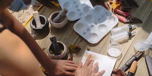 Double Bill Programme | From Site to Print | Hidden Treasures and Textures