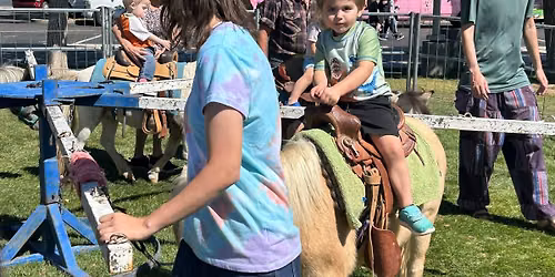 Pony Rides @Fort Verde Days 2026