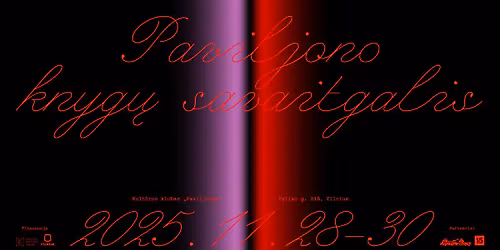 Paviljono knyg\u0173 savaitgalis 2025