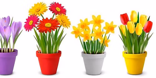 Mother's Day Flower Pots