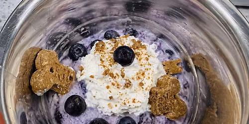 Blueberry Cheesecake Day * May 26th *