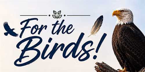 For the Birds!