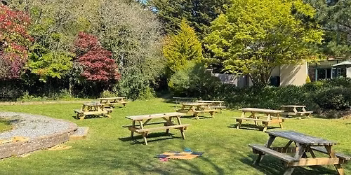 Ashford's Spring Garden Party 2026