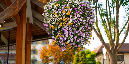 Hanging Basket Educational Event