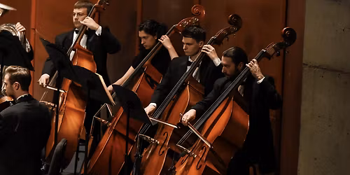 Manassas Symphony Orchestra - Manassas