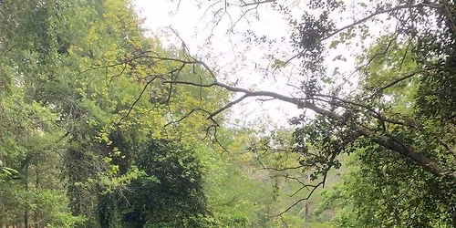 Suwannee River Paddling Festival 