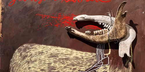 Alan Sparhawk & Trampled By Turtles