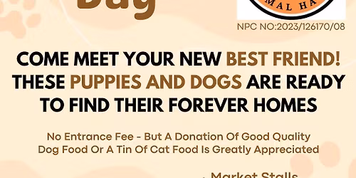 Adoption Day