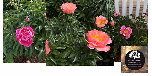 Create a Personal Garden Sanctuary Garden Design for well being