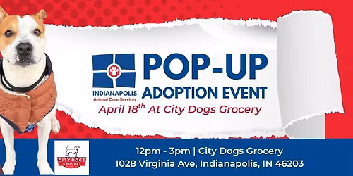 Pop-Up Adoption Event \u2013 City Dogs Grocery
