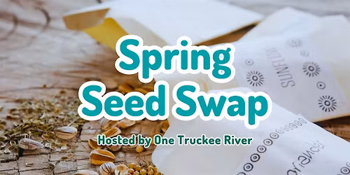 Spring Seed Swap
