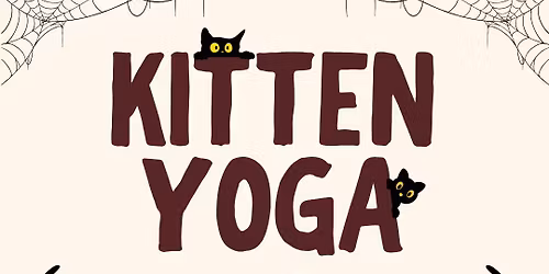 Kitten Yoga