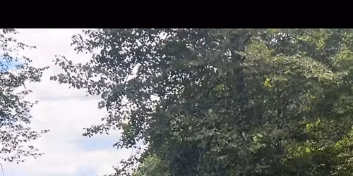 Cathy Wieschhoff Clinic