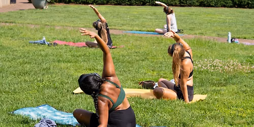 Yoga on the Lawn