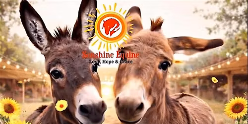 Donkey Kicks Chair Toning - Event with our Live Donkeys - Wilma and Pebbles