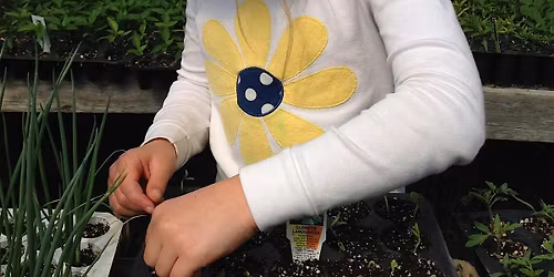 Seed Sowing and Growing