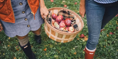 Fall Equinox Apple Picking & Picnic