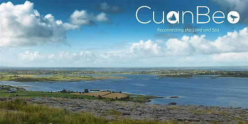 Cuan Beo Oyster Experience