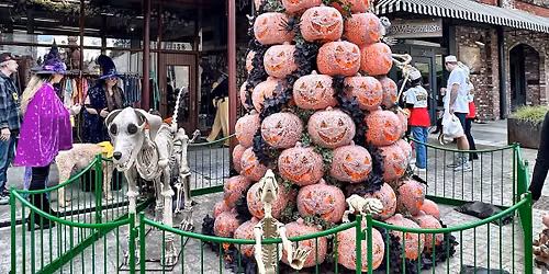 12th Annual Grass Valley Howl-o-ween Parade