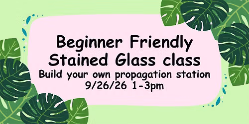 Beginner Friendly Plant Propogation Station