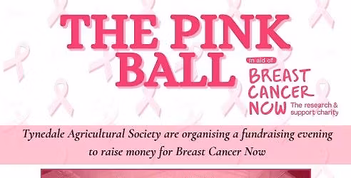 The Pink Ball