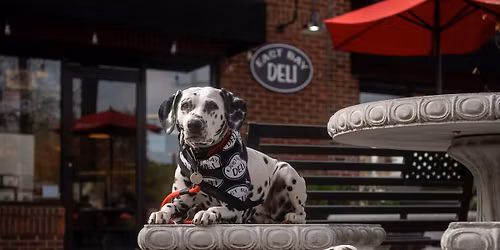 Pet Therapy & Craft Kids' Night! - Mt. Pleasant