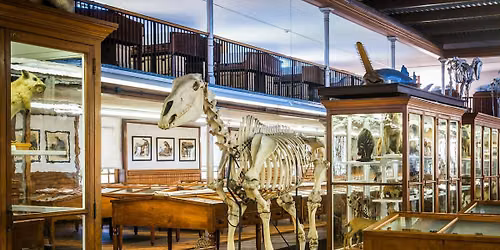 Visit the Wagner Museum 2026