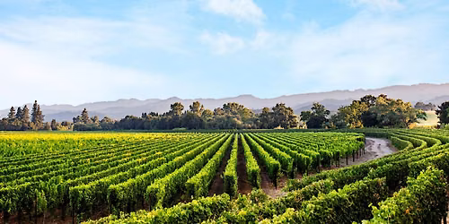 Chart House - Caymus Wine Dinner - Dana Point