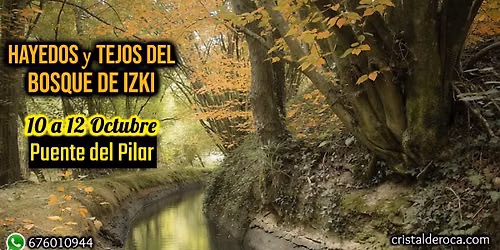 Hayedos y Tejos de IZKI \ud83c\udf42\ud83c\udf41 El Pilar