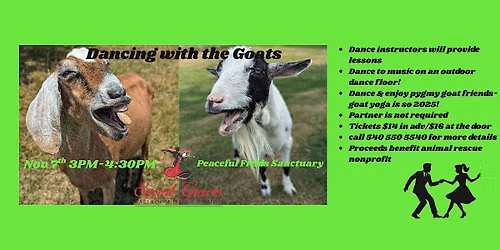 Dancing with the Goats at Peaceful Fields Sanctuary!