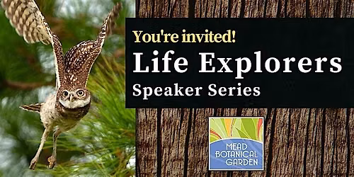 Life Explorers: The Gopher Tortoise - One of Earth\u2019s Oldest Living Animals