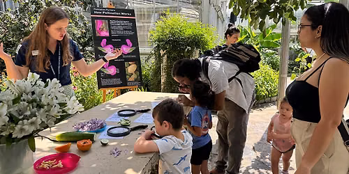 Family Program: Flower to Fruit: A Pollination Journey (On-site Drop-in Program)
