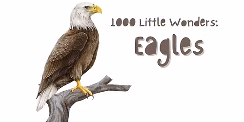 1000 Little Wonders - Class Theme: Eagles