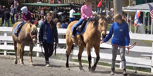 Pony Experience at Horse Expo