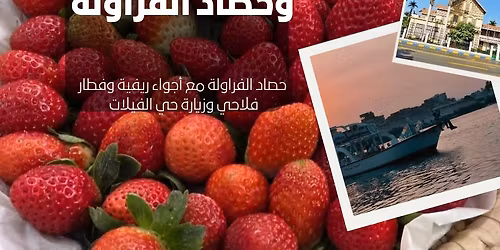 \u0631\u062d\u0644\u0629 \u0644\u0645\u062f\u064a\u0646\u0629 #\u0625\u0633\u0645\u0627\u0639\u064a\u0644\u064a\u0629 \u0648\u062d\u0635\u0627\u062f #\u0627\u0644\u0641\u0631\u0627\u0648\u0644\u0629 \u062b\u0627\u0646\u064a \u0623\u064a\u0627\u0645 \u0639\u064a\u062f \u0627\u0644\u0641\u0637\u0631 \u0645\u0639 #\u0633\u0631\u0627\u062f\u064a\u0628 \ud83e\udd70\ud83c\uddea\ud83c\uddec