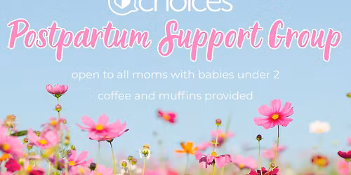 Postpartum Support Group