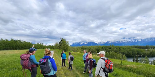 Mellow Pop-up Hike, Matanuska Greenbelt Trails