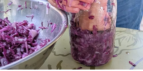 Learn to Ferment: Make Your Own Sauerkraut