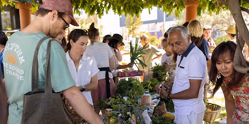 Crop Swap Port Kembla (3rd Sunday)