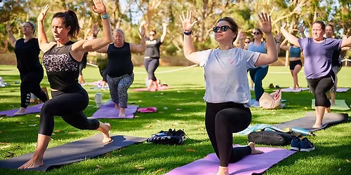 Move, Stretch and Sweat